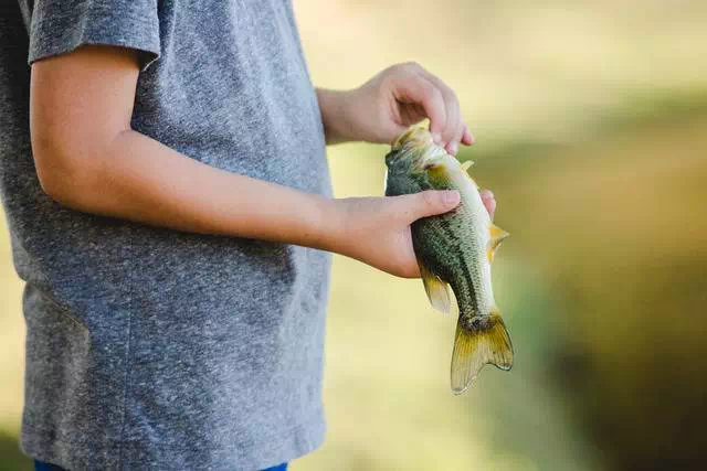 让照片不枯燥的小秘密