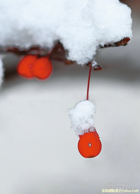 4招展现冬天的纯白无瑕之感 4招展现冬天的纯白无瑕之感