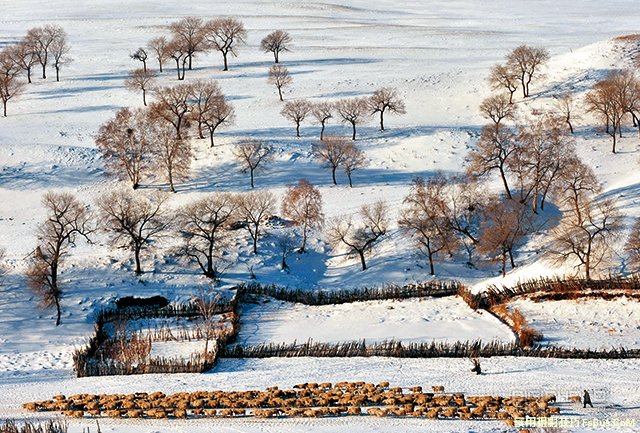 4招展现冬天的纯白无瑕之感 4招展现冬天的纯白无瑕之感