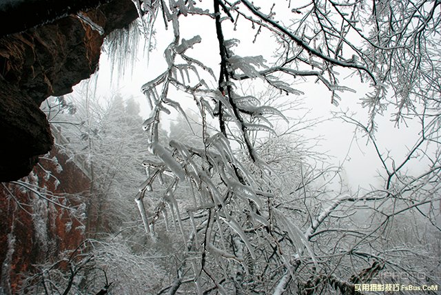 4招展现冬天的纯白无瑕之感 4招展现冬天的纯白无瑕之感
